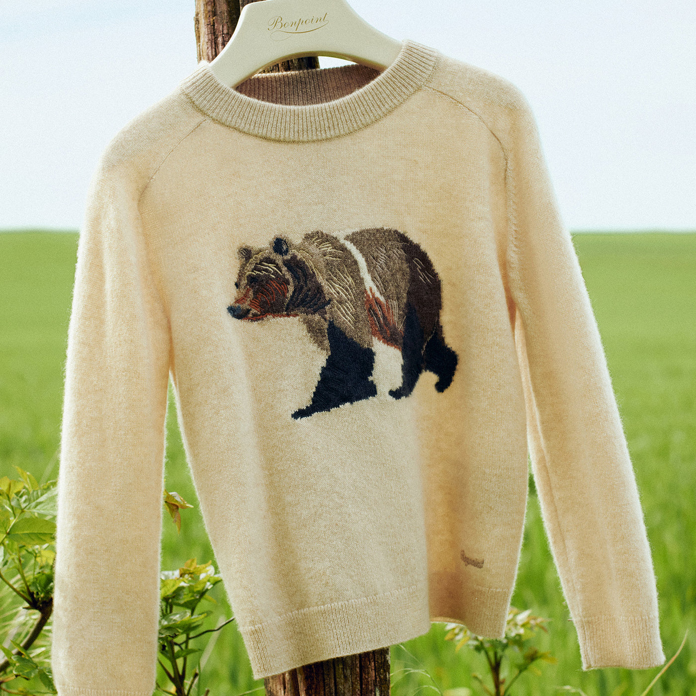 Cardigans, Pulls, Sweatshirts - Garçon
