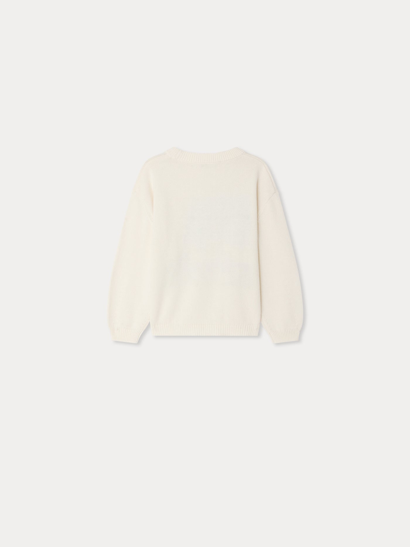 Maglione Anumati giardino ricamato a mano in cotone biologico