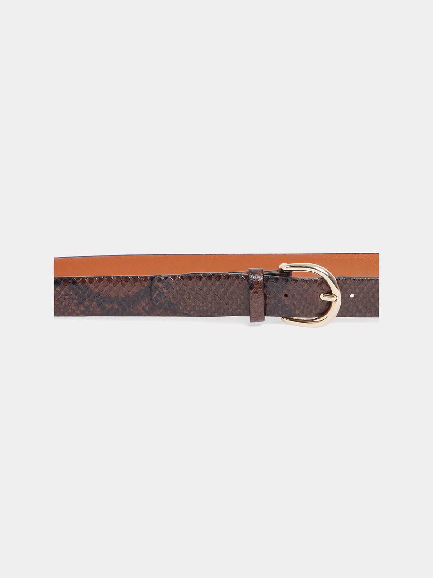 Lutèse belt with python effect
