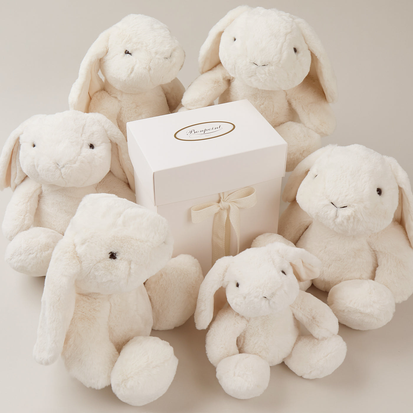 Il coniglio coccoloso iconico