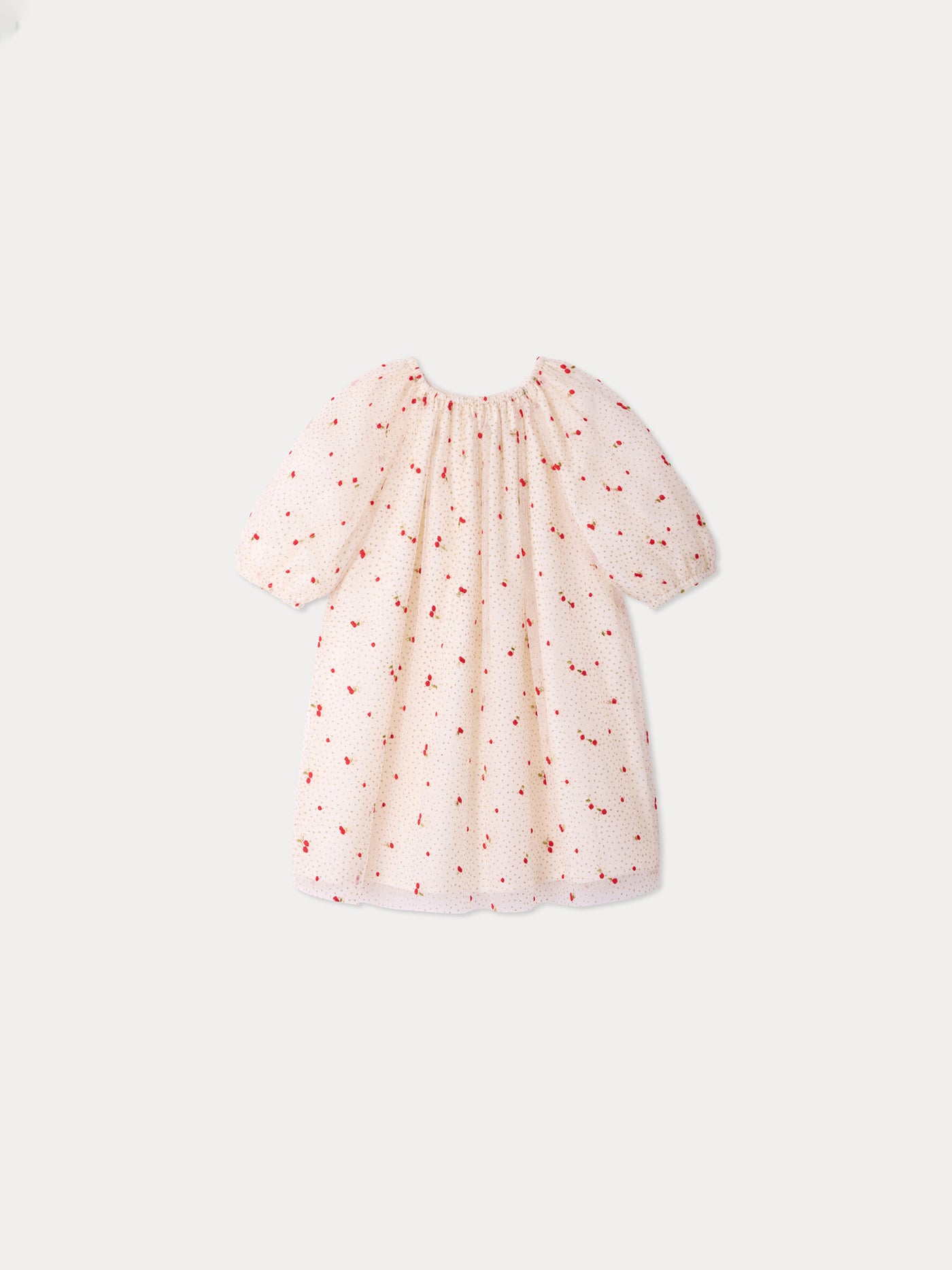 Robe Juste en tulle brodé de sequins
