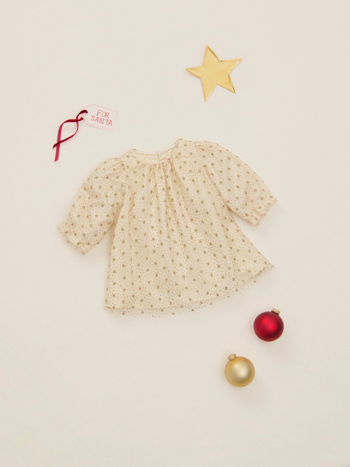 Jelisa embroidered tulle dress with lining