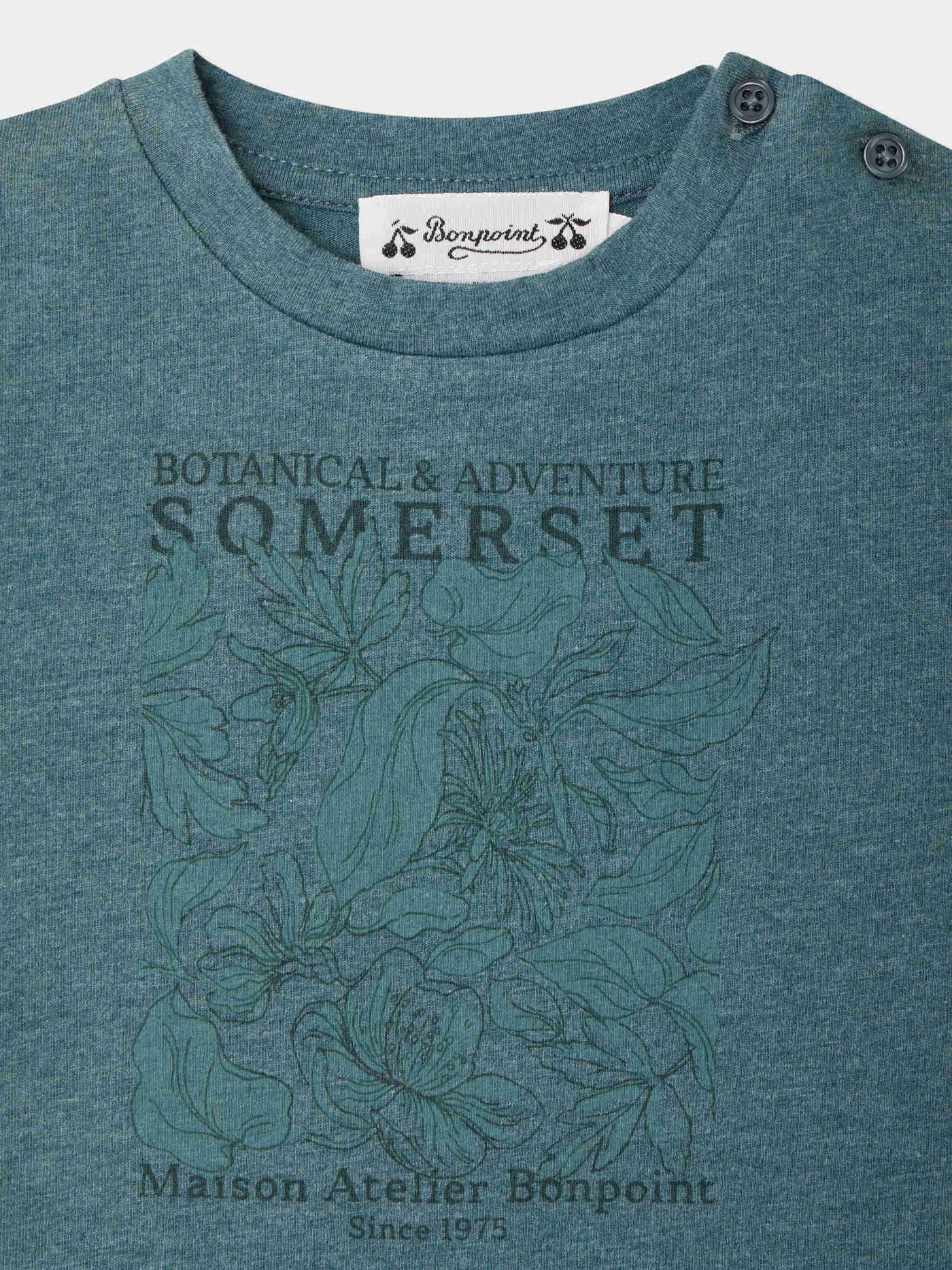 Tom Somerset Print-T-Shirt aus Bio-Baumwolle