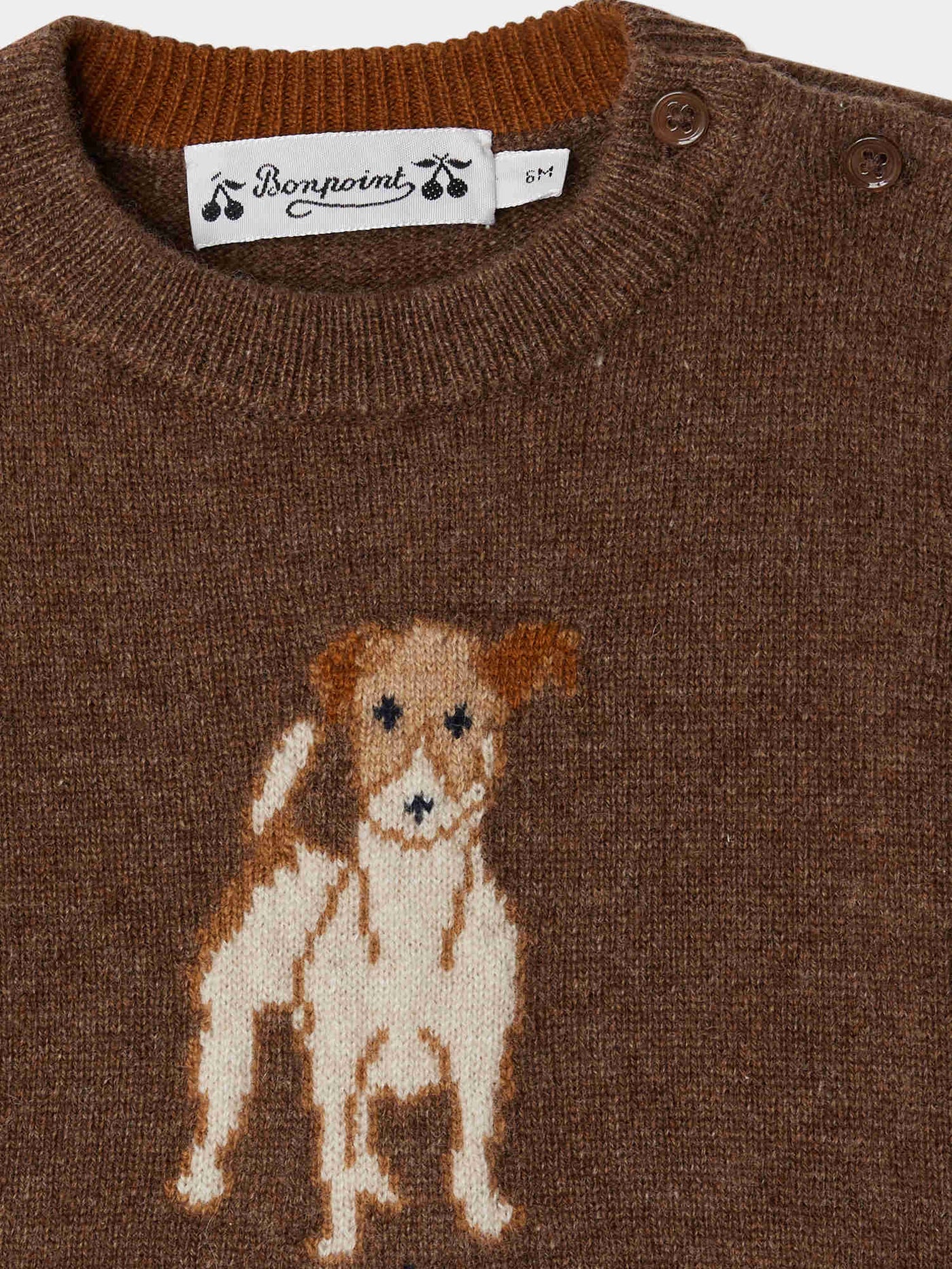 Pull Almire mixte en jacquard avec un chien rebrodé main en laine