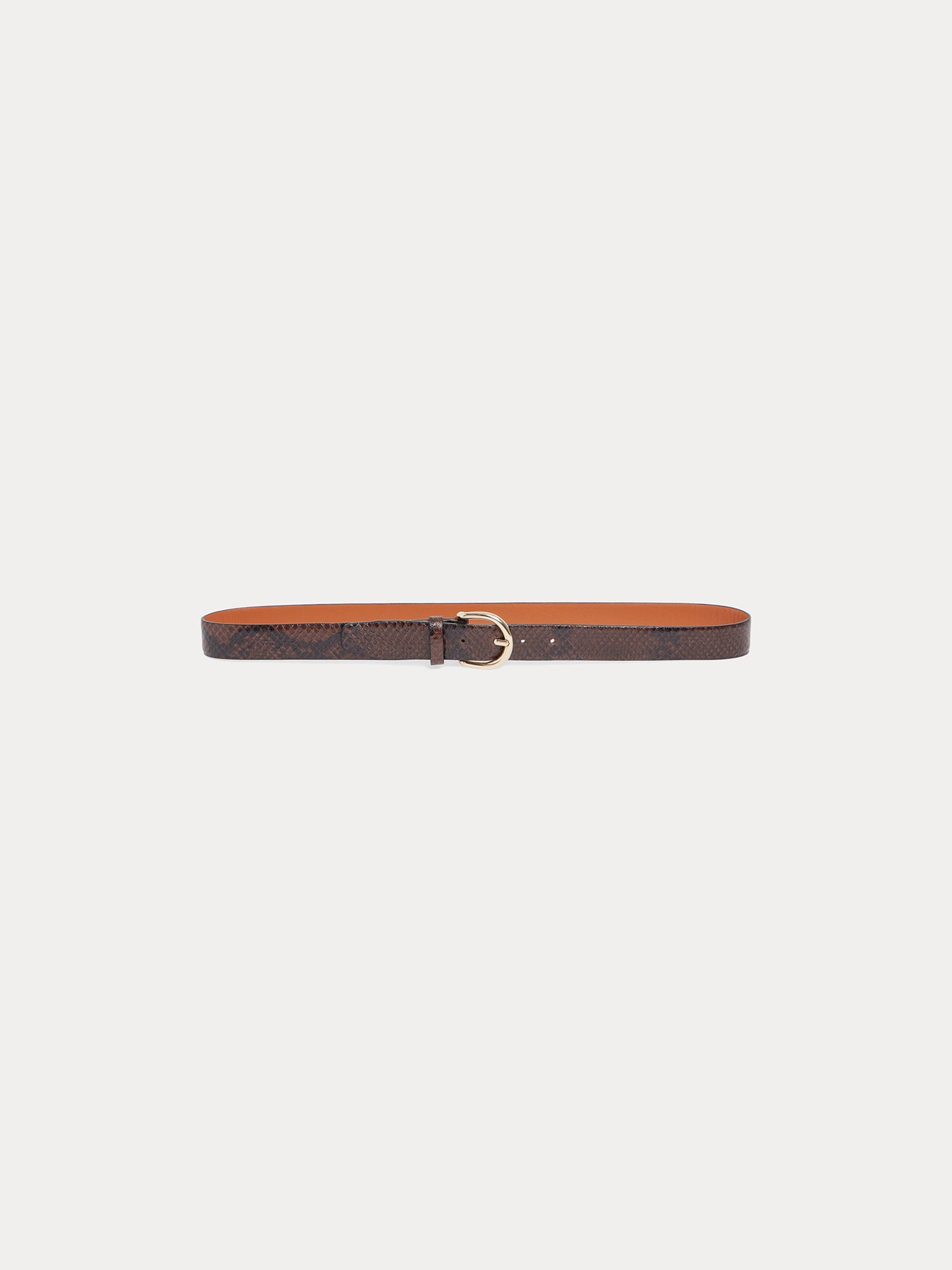 Lutèse Belt cocoa